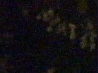 2025-04-05 05:08