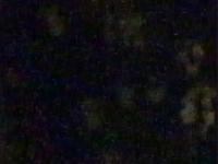 2025-04-06 07:19