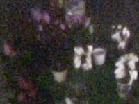 2025-04-06 20:25