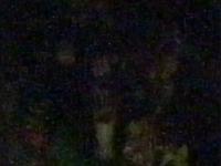 2025-08-26 06:00