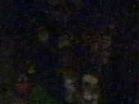 2025-08-27 02:42