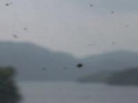 2025-07-08 14:55