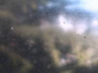 2025-08-31 07:51
