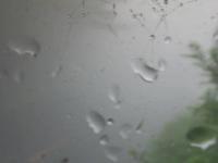 2025-06-15 12:58
