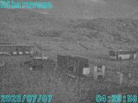 2025-07-07 04:29