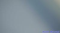 2025-07-10 13:41