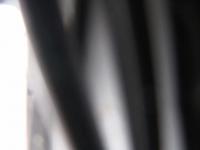 2025-04-03 10:02