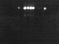 2025-10-19 22:29