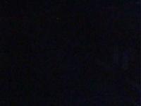 2025-07-11 04:24