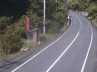 2025-08-29 08:20