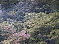 2025-07-05 16:56