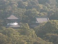 2025-06-20 07:22