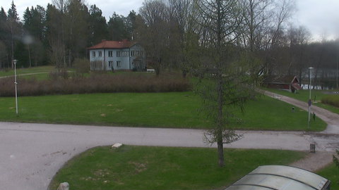 Actual image