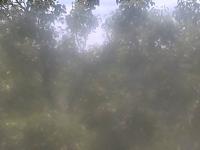 2025-06-13 12:08