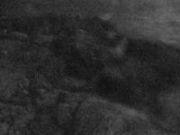 2025-08-29 19:50