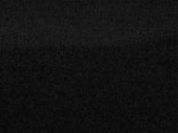 2025-04-28 20:13