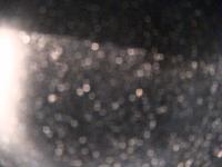 2025-06-13 05:31