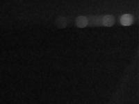 2025-07-01 20:13