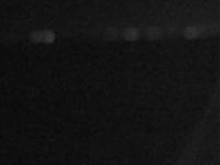 2025-07-02 21:17