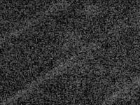 2025-07-28 03:19
