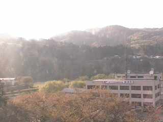 Actual image